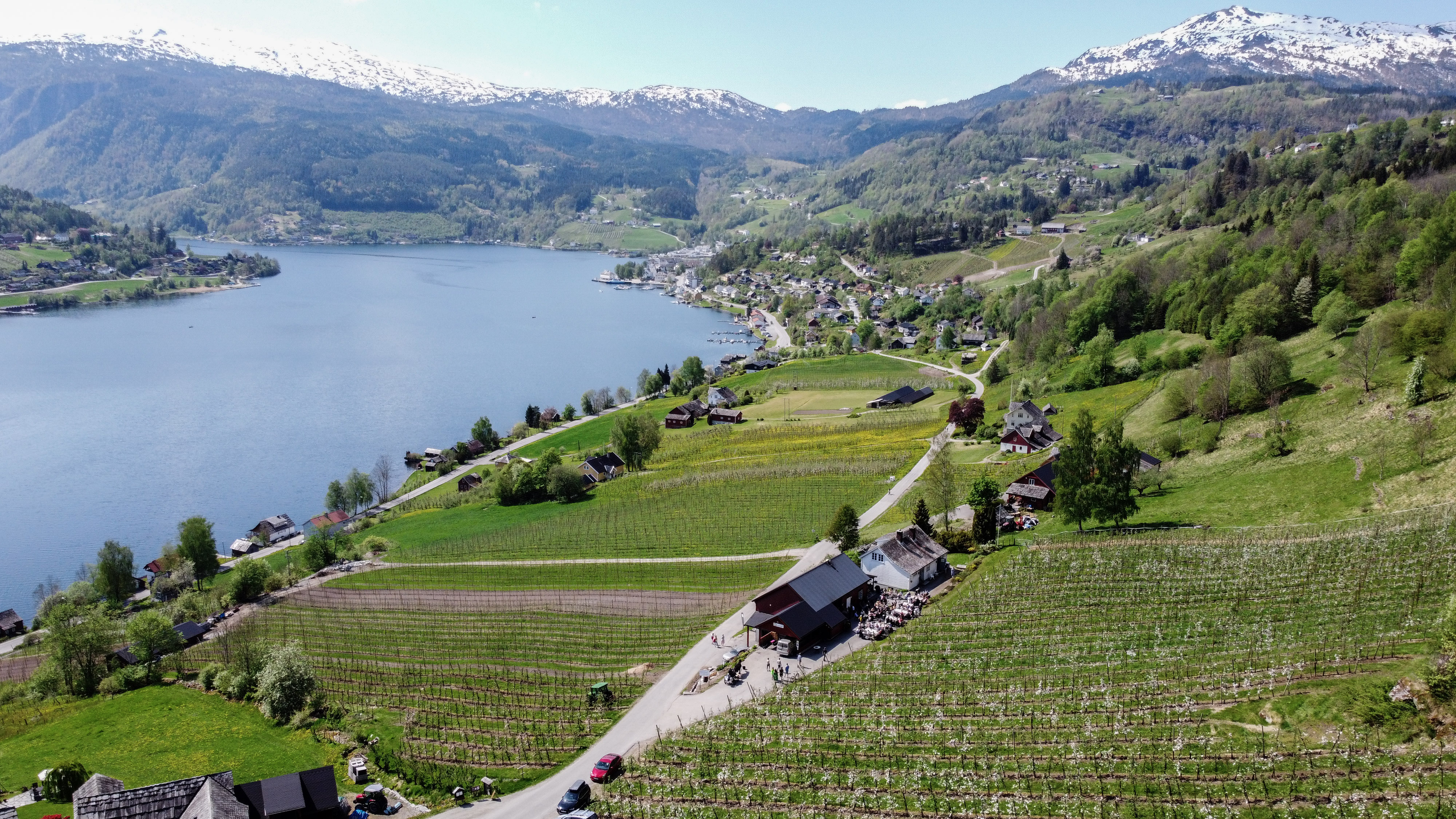 Ulvik Frukt og Cideri