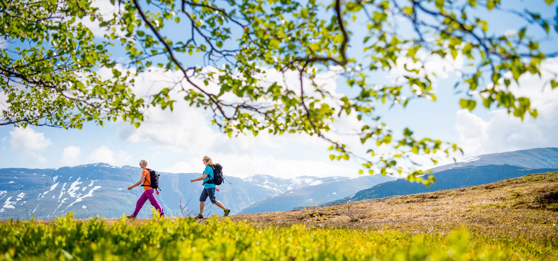 Vandring i Myrkdalen