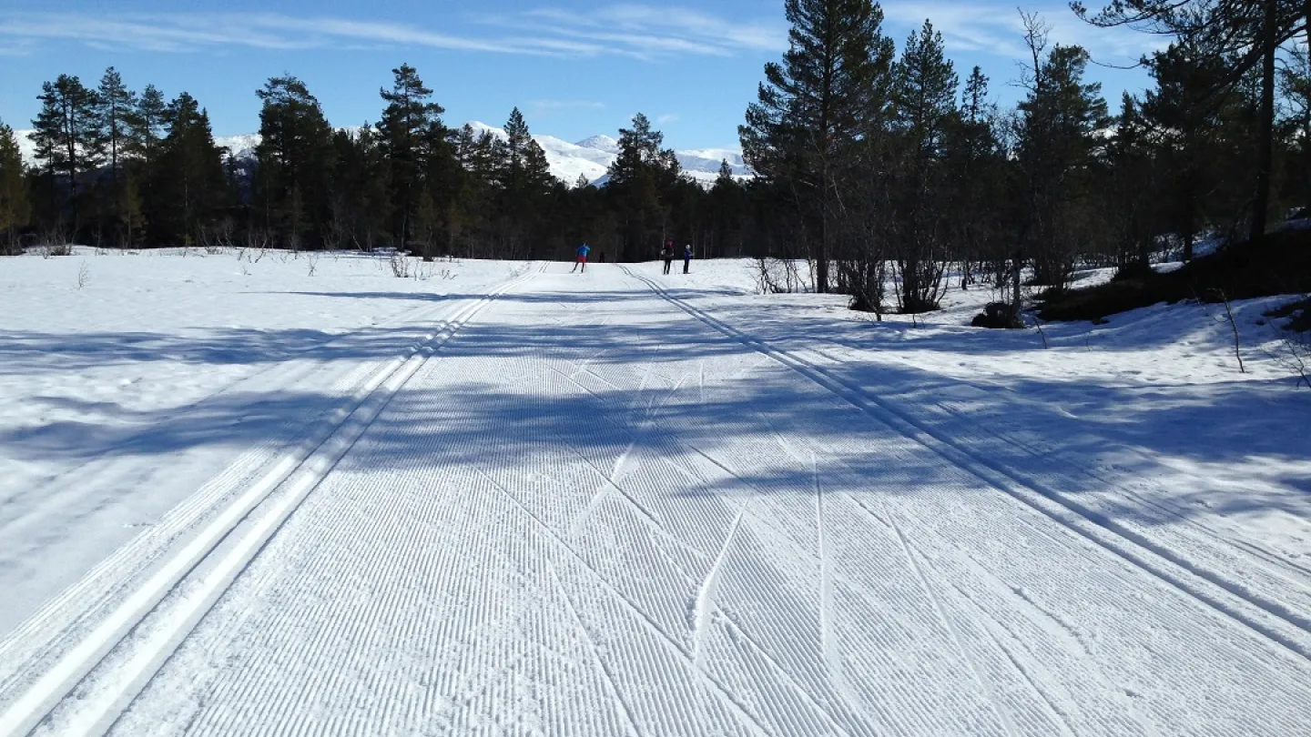 nydelige skispor og forhold i voss ski og tursenter