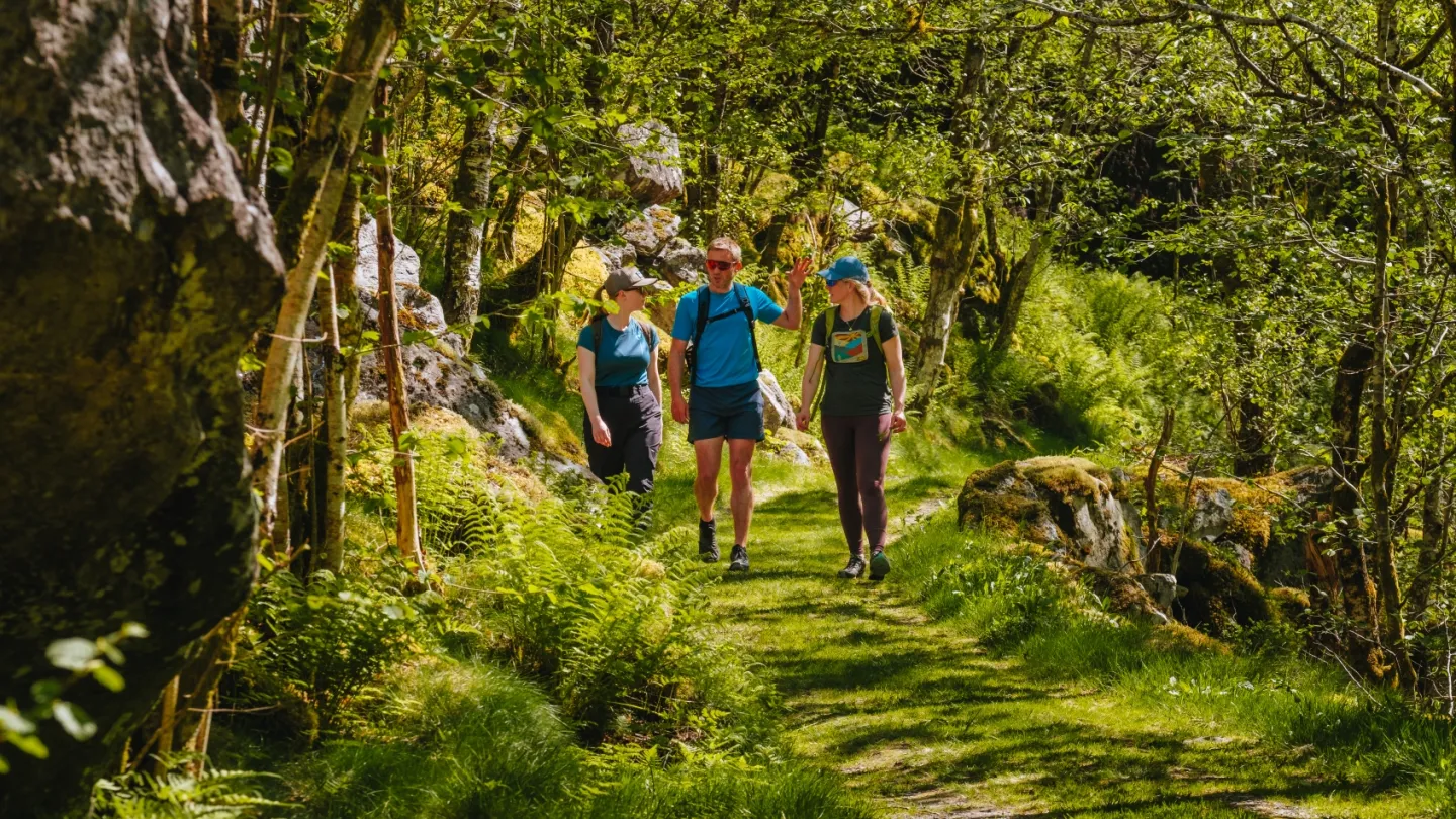 tre personer går i en grønn skog, på veg på fjelltur.