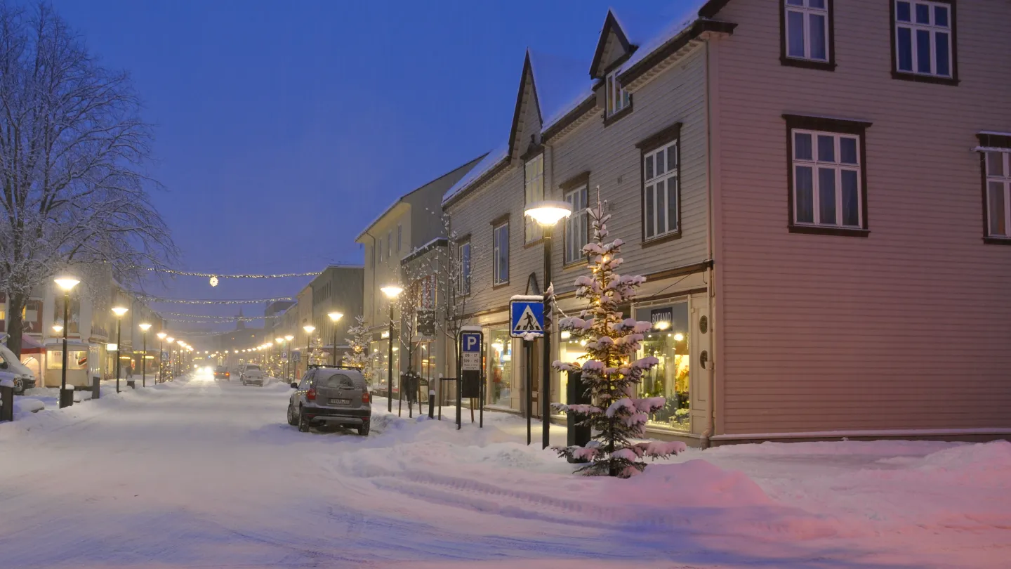 Vinter på Vangen