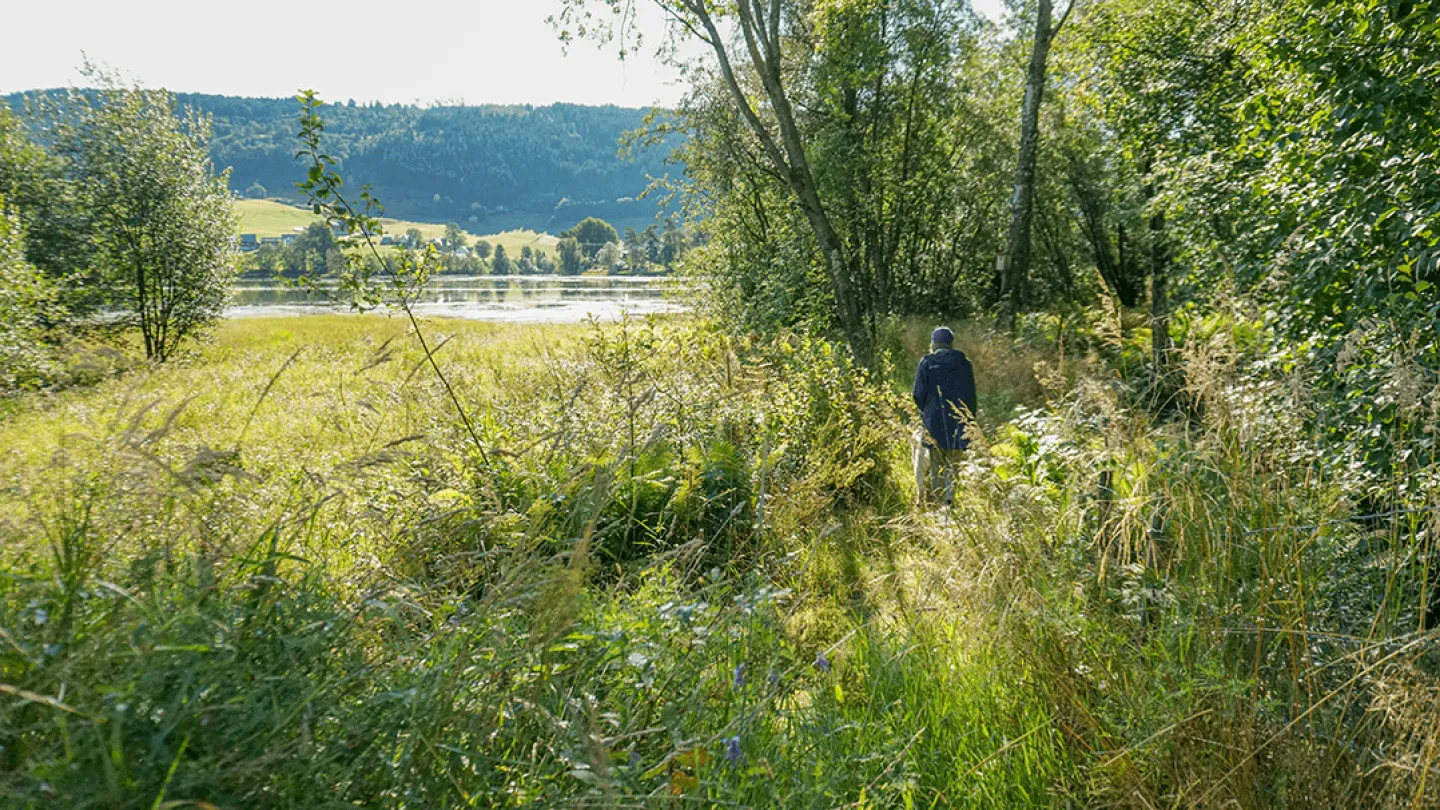 På sti i våtmarksområdet