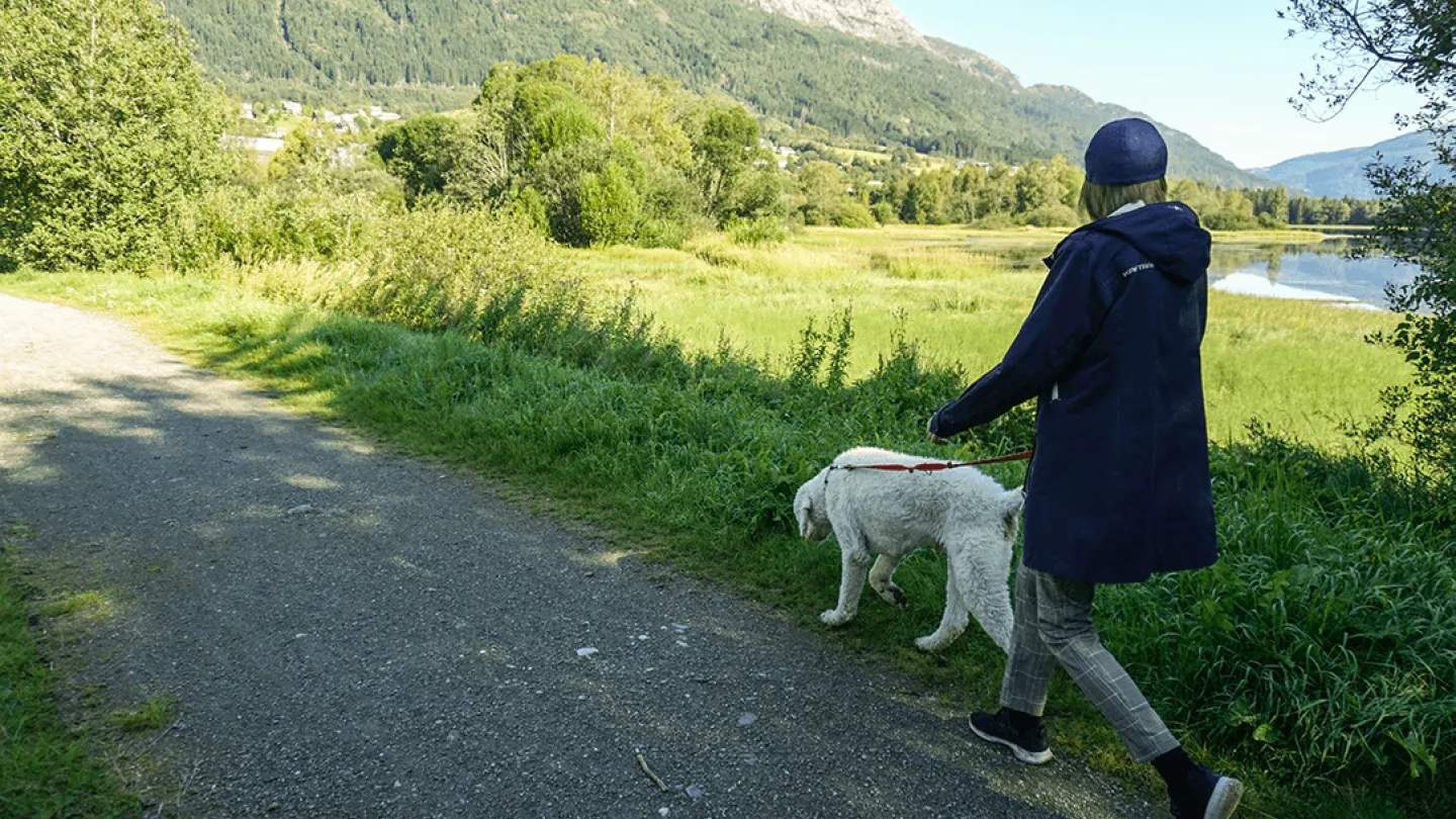 På tur langs melsvatnet