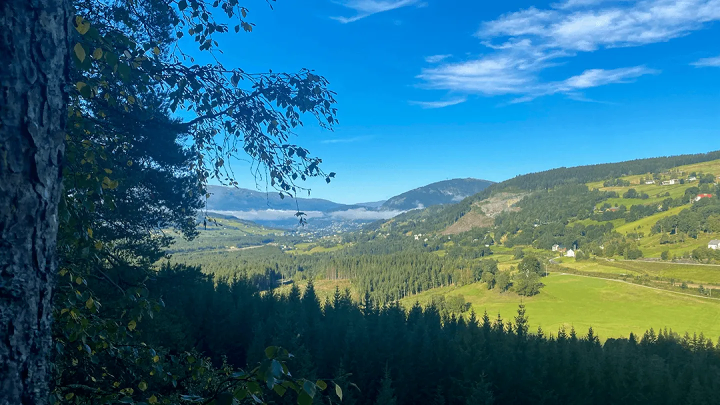 utsikt frå sledasteinen